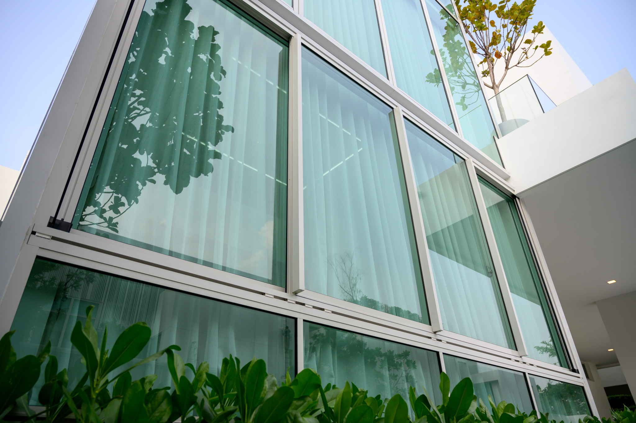 Skylight Window Glass Design for Home - Tostem India